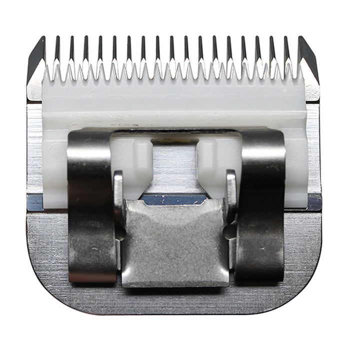 V3H985E39FD4A925E3F70EFCE20C04FC399R5554761P4