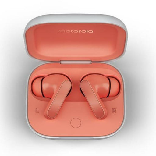 V3H1BA42423E65E8A377AFAB6BA70D396FER5055797P1