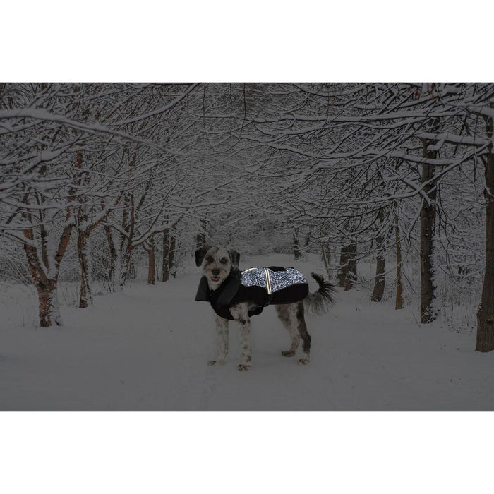 V4H0D2A2F62D9A49D5AD82974EF743F6DB3R5332494P2