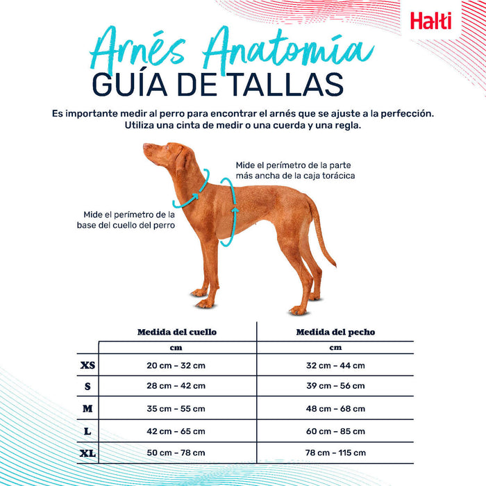 V4HFA935F3A4284E19C3507BBDD231E9386R5328451P3