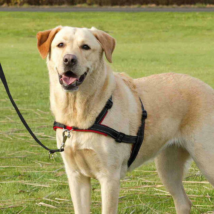 V5H87C8BFE937C85ADD7FF01C9A6913497BR5447017P8