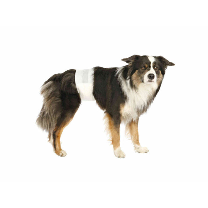 V4H02752F70C9E06034E5D0FC3BBDE4750BR5073827P3