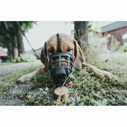 V4H14D58B8EEA50DF42B40788534519C45DR4974971P1