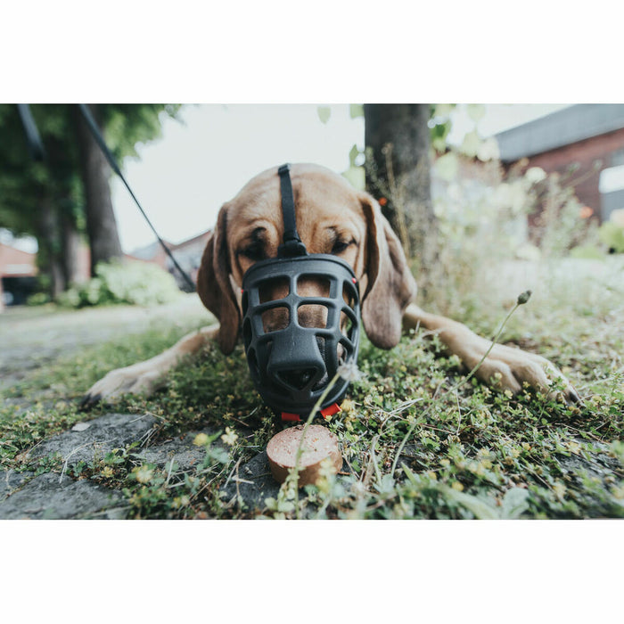 V4H14D58B8EEA50DF42B40788534519C45DR4974971P1