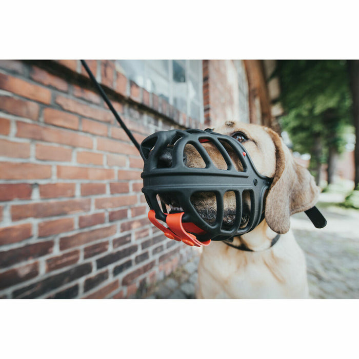 V4H9923AEBCA9BA84316E2DDBEF2A3DF0E6R4974973P2