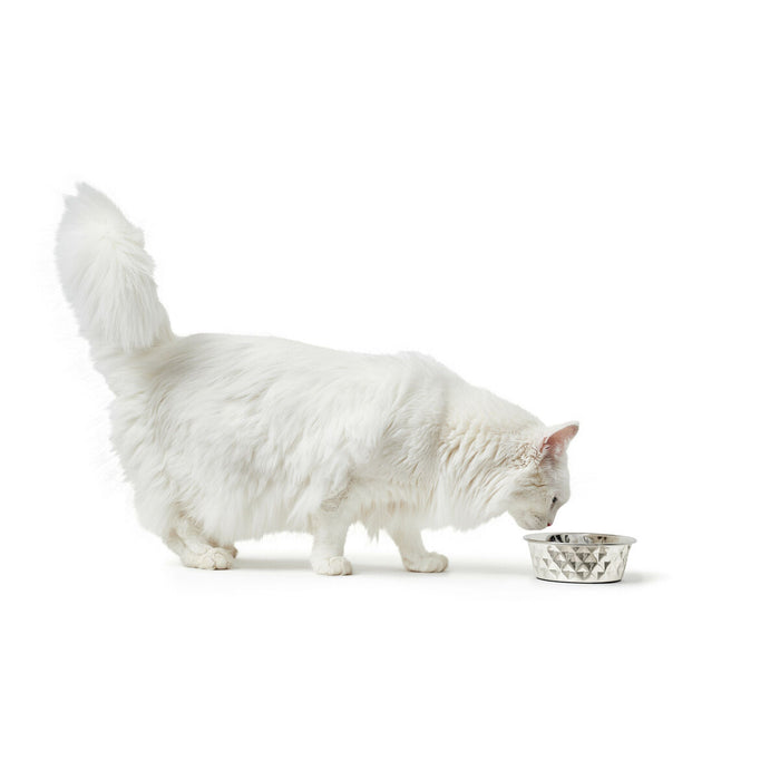 V5H46A71AA14534FD35D6A0AFE7281305D5R4438196P4