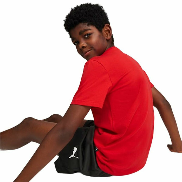 V4H3114472B55DC022DFC15BB194B19BE29R4660772P4