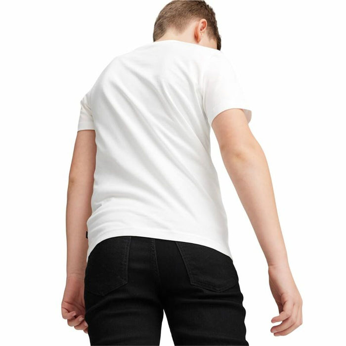 V4H431C4F72A41D773B52D89EE07913A9E1R4660807P4