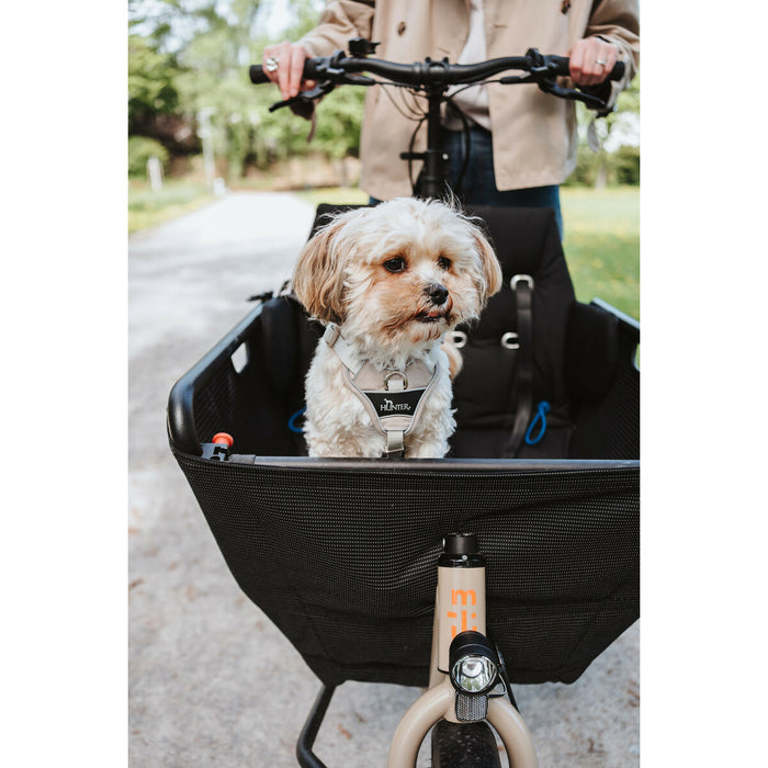 V3H1BF6BA61E619F828C3758942F8864202R5575638P7