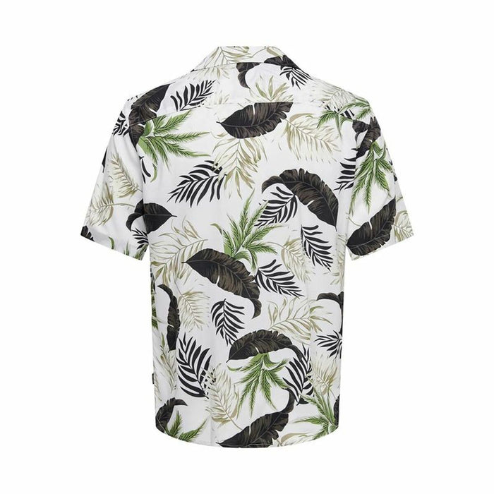 V4H5C9CAF7732CB659843B8F9AE0DC3A3DDR4371319P2