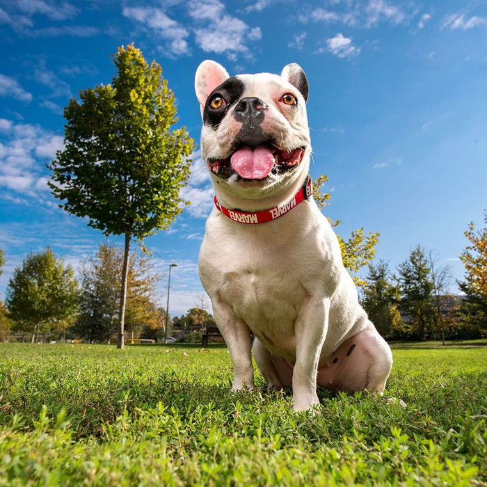 V3H9C1BBC62A96B3A3EF2C479F4ACE038C9R4644449P5