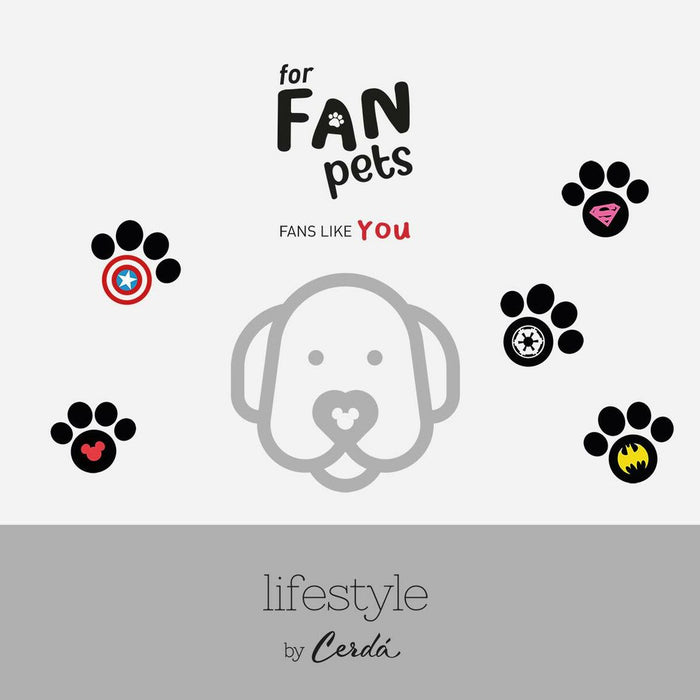 V3H80893AE6B741F8F90C078E7C00C074F6R5150408P2