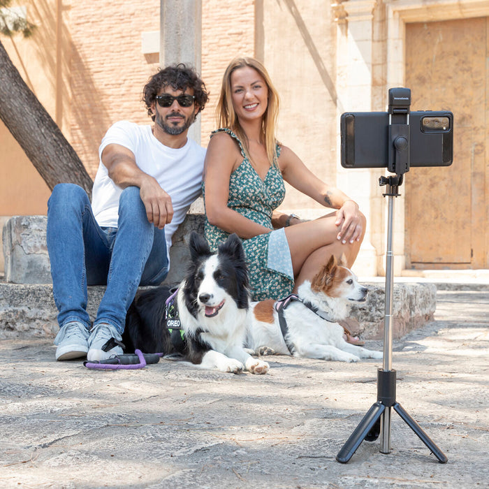 V12H8BEABC249C04E75B622B6097BB6730B9R5435119P3